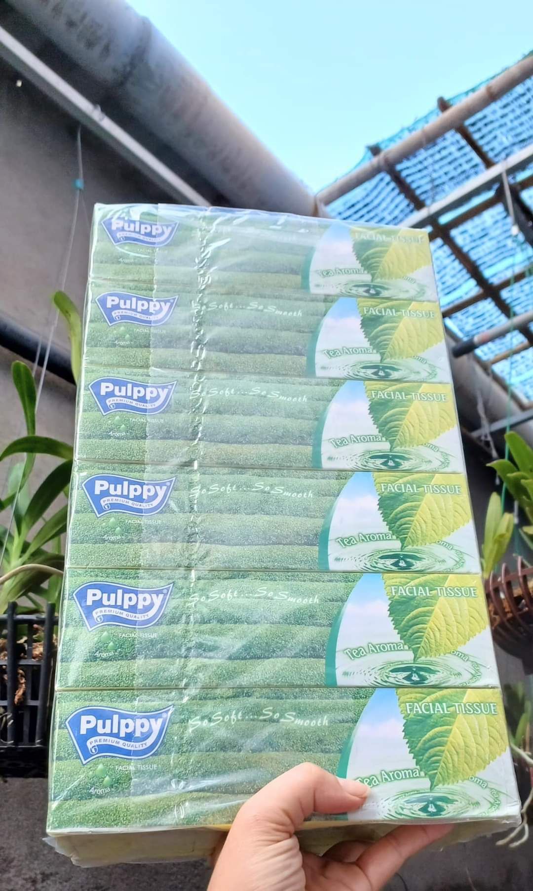 KHĂN GIẤY PULPPY TRÀ XANH - BÁN TỪ 6 HỘP